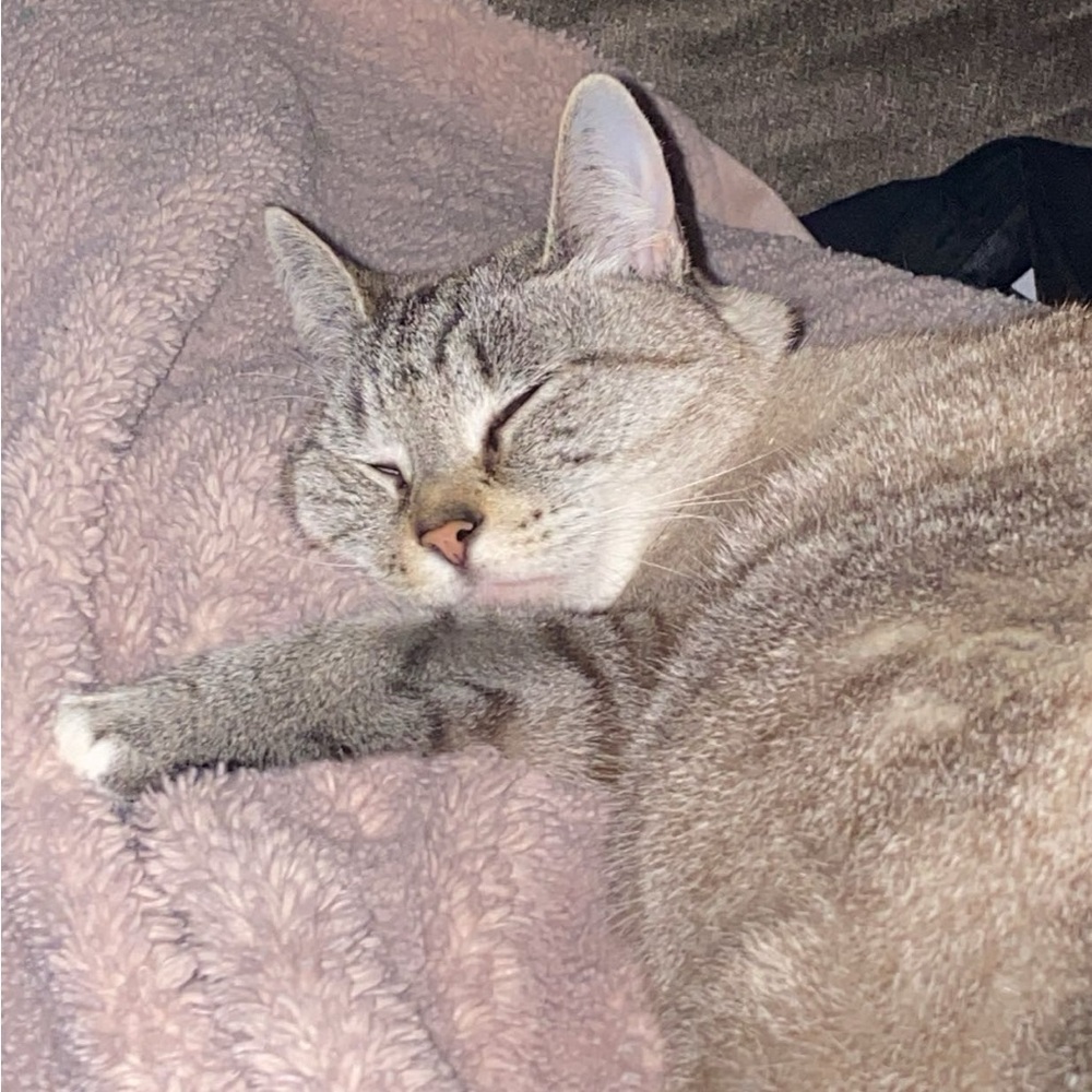 Meet your Posher, Vicky